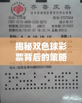 揭秘双色球彩票背后的策略与魅力，独家定制选号技巧
