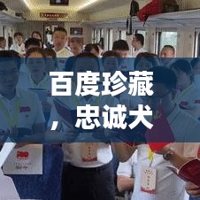 百度珍藏，忠诚犬爱之诗词，深情纪念陪伴的忠诚岁月