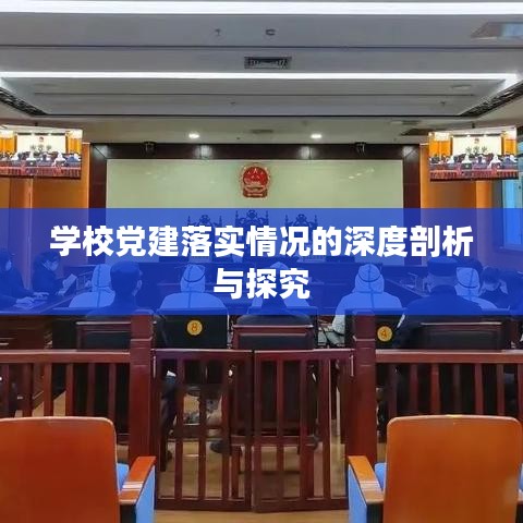 学校党建落实情况的深度剖析与探究