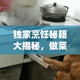 独家烹饪秘籍大揭秘，做菜技巧一网打尽！
