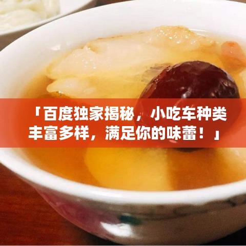 「百度独家揭秘，小吃车种类丰富多样，满足你的味蕾！」