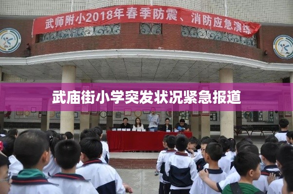 武庙街小学突发状况紧急报道