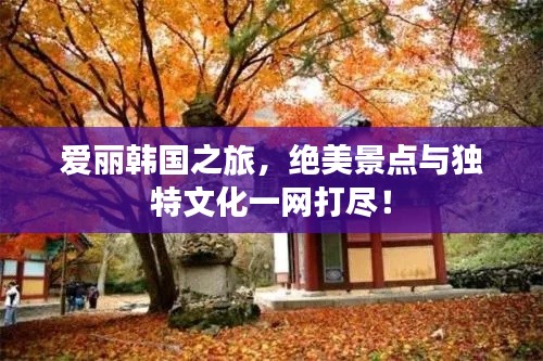 爱丽韩国之旅，绝美景点与独特文化一网打尽！