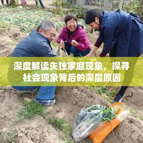 深度解读失独家庭现象，探寻社会现象背后的深层原因