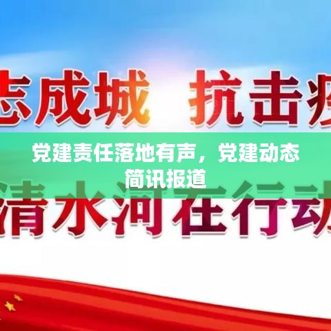 党建责任落地有声，党建动态简讯报道
