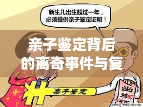 亲子鉴定背后的离奇事件与复杂真相揭秘