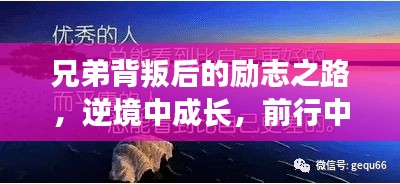 兄弟背叛后的励志之路，逆境中成长，前行中闪耀