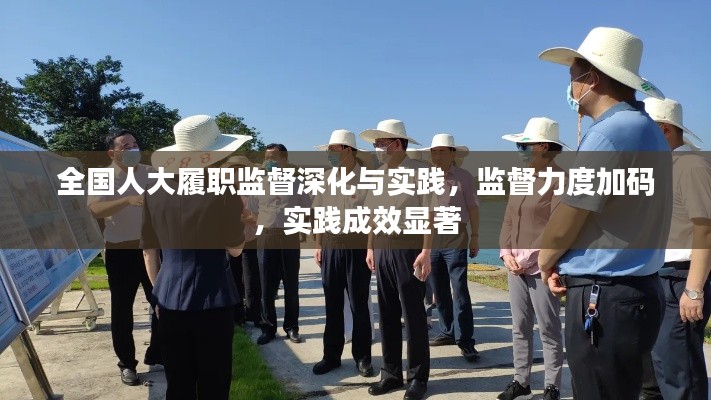 全国人大履职监督深化与实践，监督力度加码，实践成效显著