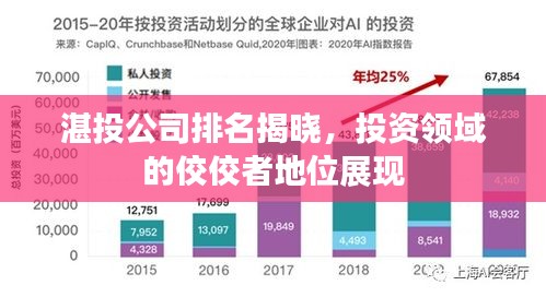 湛投公司排名揭晓，投资领域的佼佼者地位展现