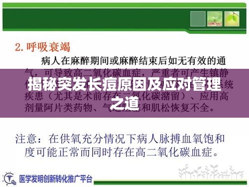 揭秘突发长痘原因及应对管理之道