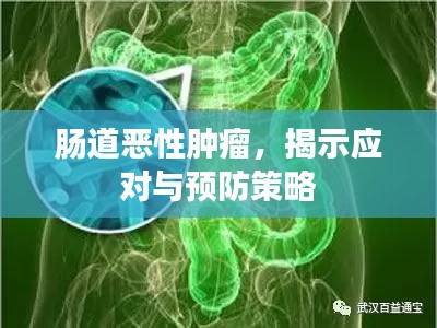 肠道恶性肿瘤，揭示应对与预防策略