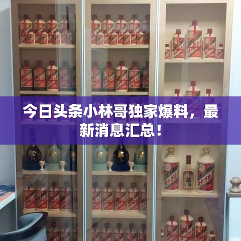 今日头条小林哥独家爆料，最新消息汇总！