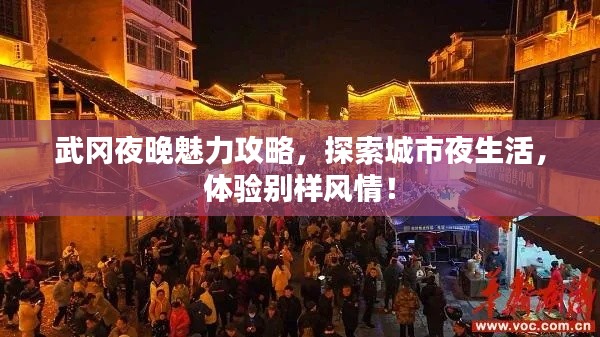武冈夜晚魅力攻略，探索城市夜生活，体验别样风情！