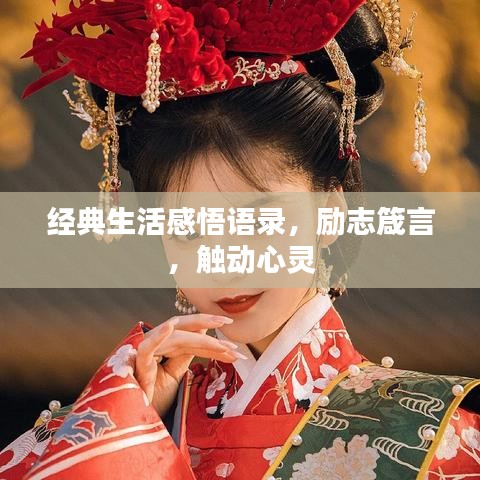 经典生活感悟语录，励志箴言，触动心灵