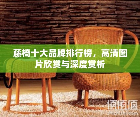 藤椅十大品牌排行榜，高清图片欣赏与深度赏析