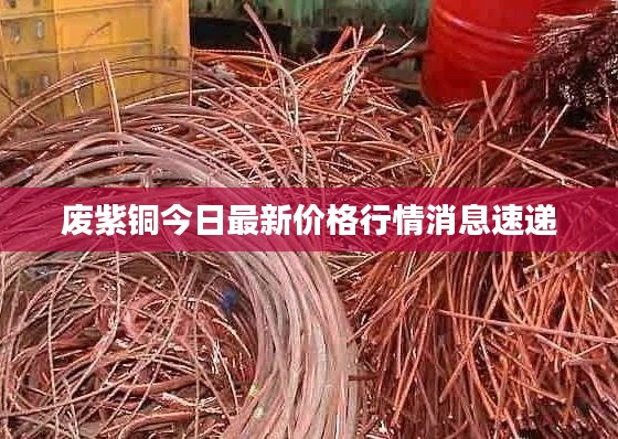 废紫铜今日最新价格行情消息速递