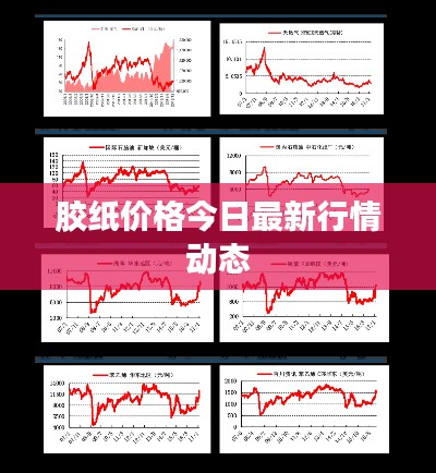 胶纸价格今日最新行情动态
