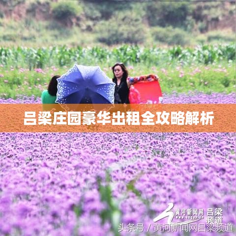 吕梁庄园豪华出租全攻略解析
