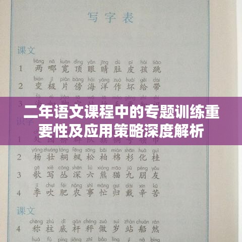 二年语文课程中的专题训练重要性及应用策略深度解析