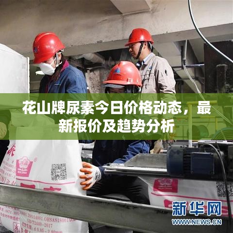 花山牌尿素今日价格动态，最新报价及趋势分析