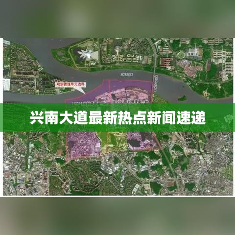 兴南大道最新热点新闻速递