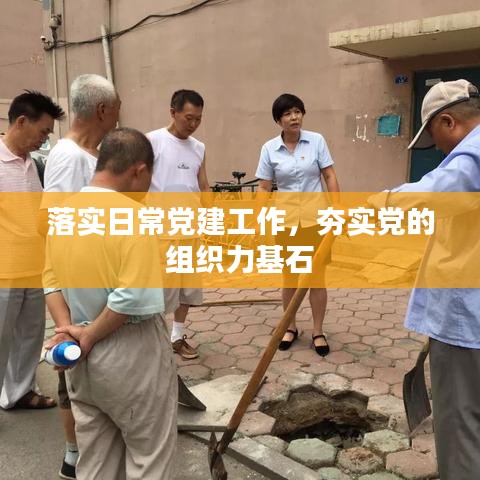 落实日常党建工作，夯实党的组织力基石