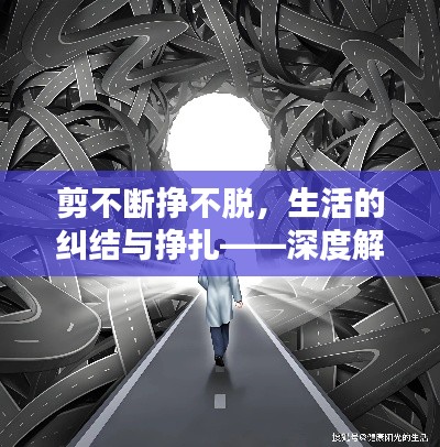 剪不断挣不脱，生活的纠结与挣扎——深度解析人生困境