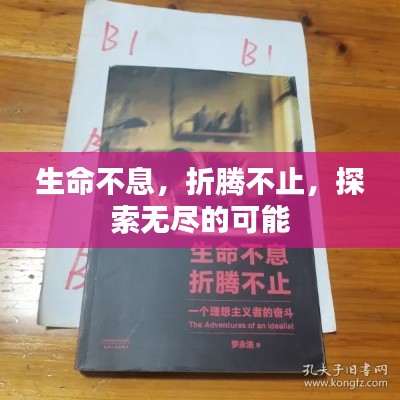 生命不息，折腾不止，探索无尽的可能