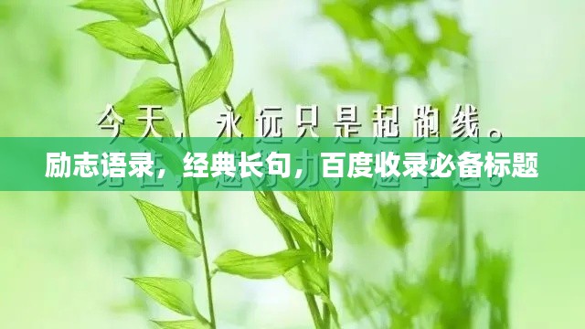 励志语录，经典长句，百度收录必备标题