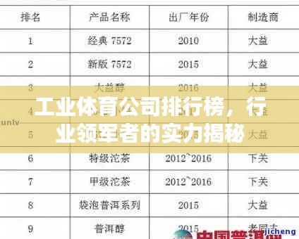 工业体育公司排行榜，行业领军者的实力揭秘