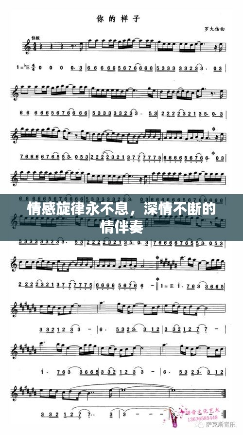 情感旋律永不息，深情不断的情伴奏
