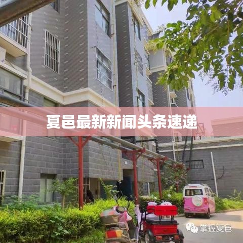 夏邑最新新闻头条速递