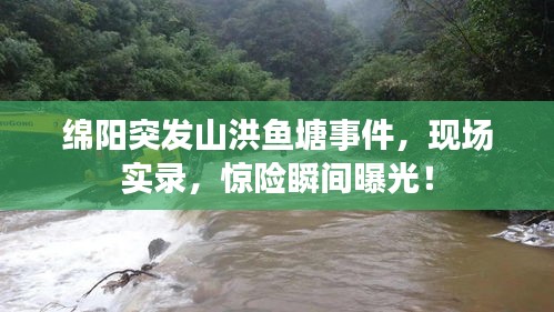 关于我们 第33页