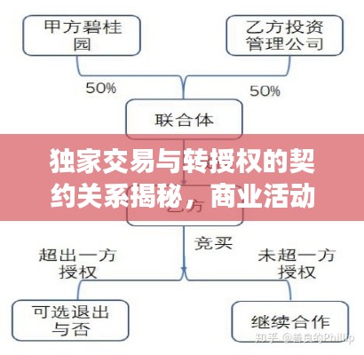 独家交易与转授权的契约关系揭秘，商业活动中的特殊合作之道