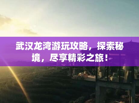 武汉龙湾游玩攻略，探索秘境，尽享精彩之旅！