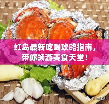 红岛最新吃喝攻略指南，带你畅游美食天堂！