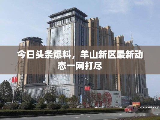 今日头条爆料，羊山新区最新动态一网打尽
