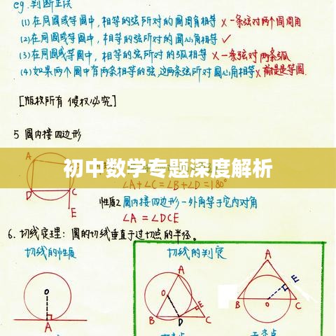 初中数学专题深度解析