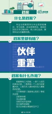 伙伴重置攻略大全，最新指南与操作手册总览