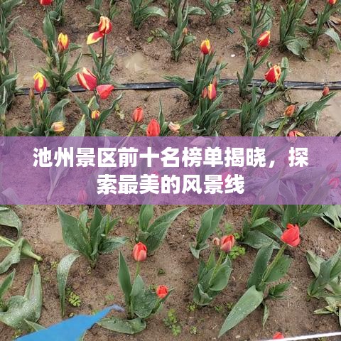 池州景区前十名榜单揭晓，探索最美的风景线