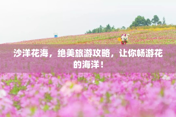 沙洋花海，绝美旅游攻略，让你畅游花的海洋！