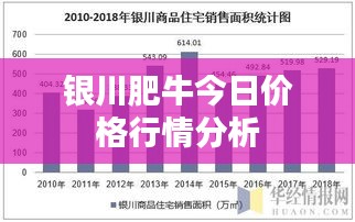 银川肥牛今日价格行情分析