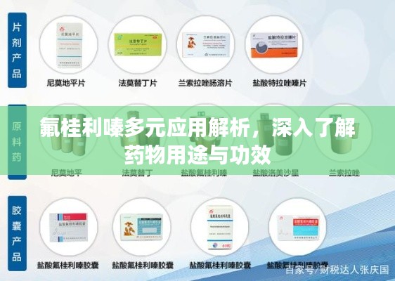 氟桂利嗪多元应用解析，深入了解药物用途与功效