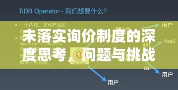 未落实询价制度的深度思考，问题与挑战的探讨