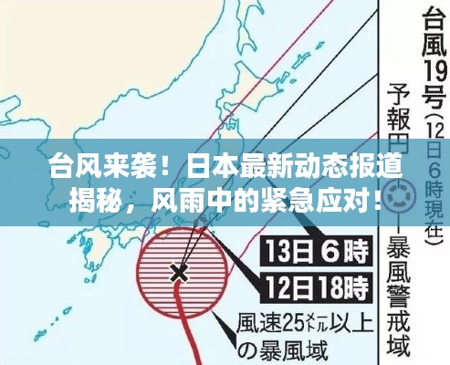 台风来袭！日本最新动态报道揭秘，风雨中的紧急应对！