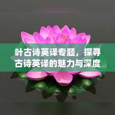 叶古诗英译专题，探寻古诗英译的魅力与深度翻译之旅