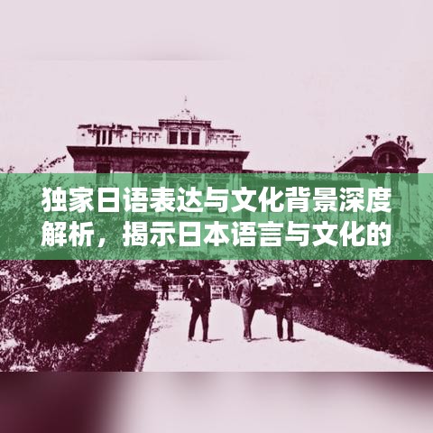 独家日语表达与文化背景深度解析，揭示日本语言与文化的独特魅力