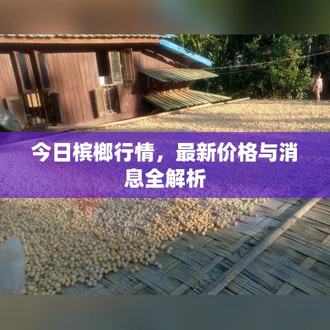 今日槟榔行情，最新价格与消息全解析