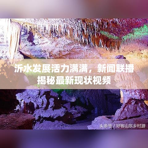 降尊纡贵