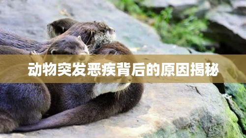 动物突发恶疾背后的原因揭秘